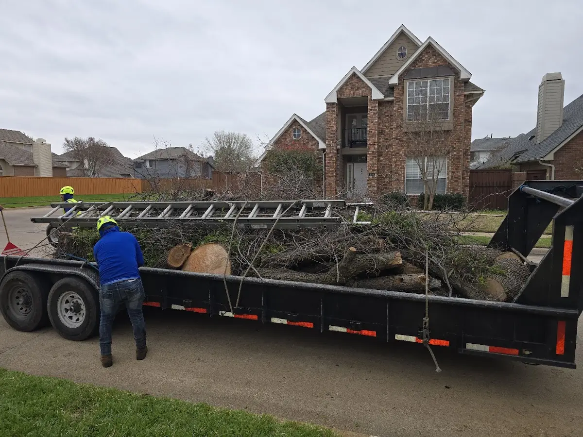 Expert Tree Removal with proper safety equipment in Thurmond